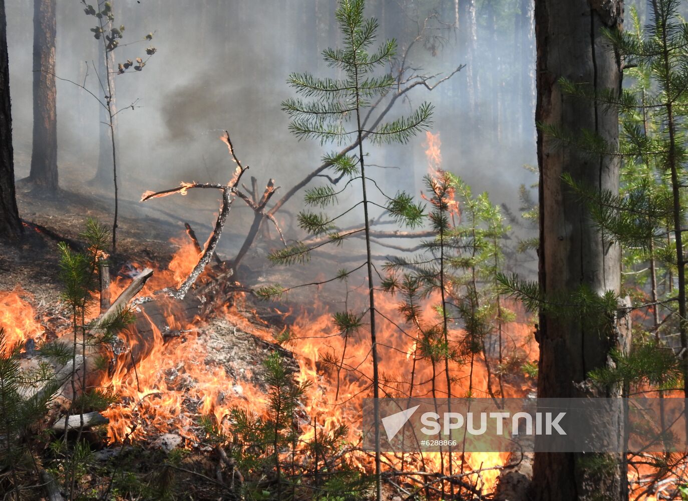 Russia Wildfires