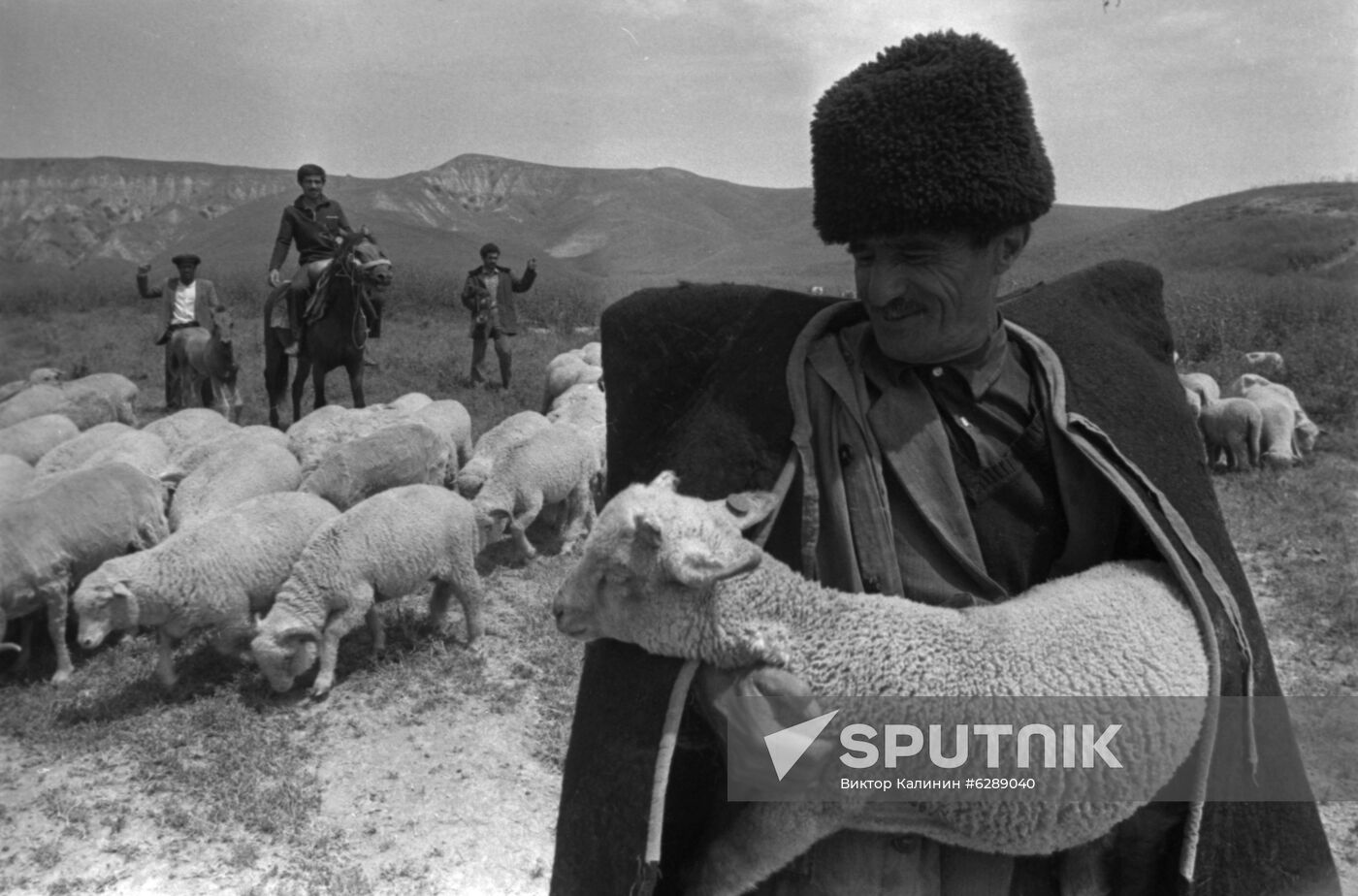 Bogdan Kerimov's sheep-breeding farm