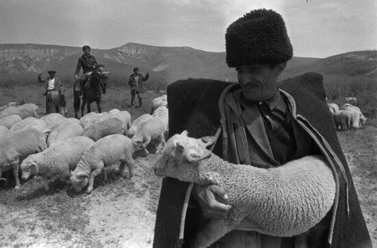 Bogdan Kerimov's sheep-breeding farm