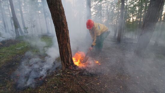 Russia Wildfires