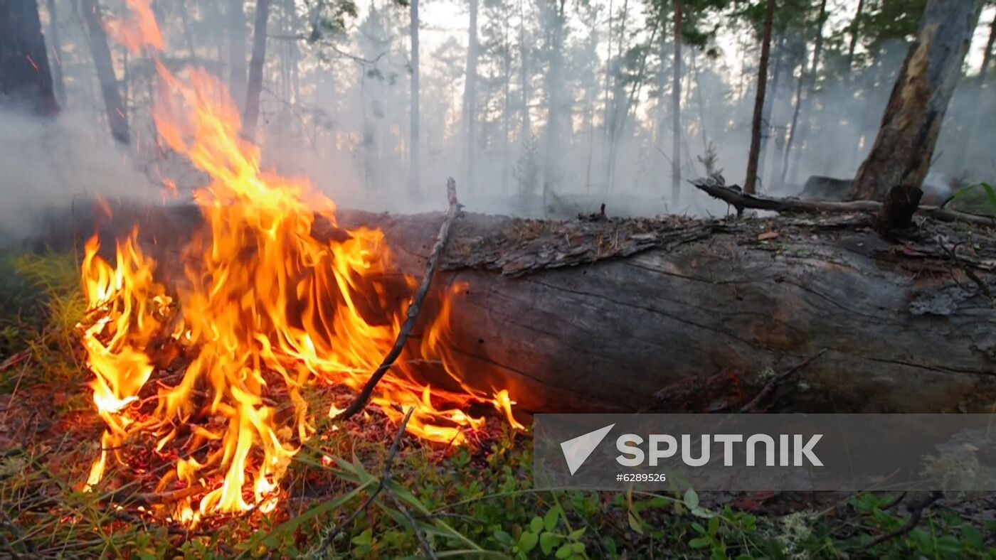 Russia Wildfires