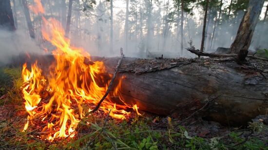 Russia Wildfires