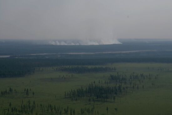 Russia Wildfires