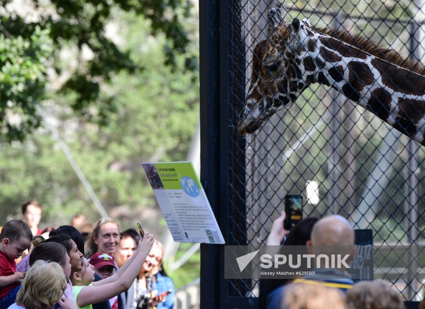 Russia Zoo