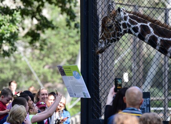 Russia Zoo