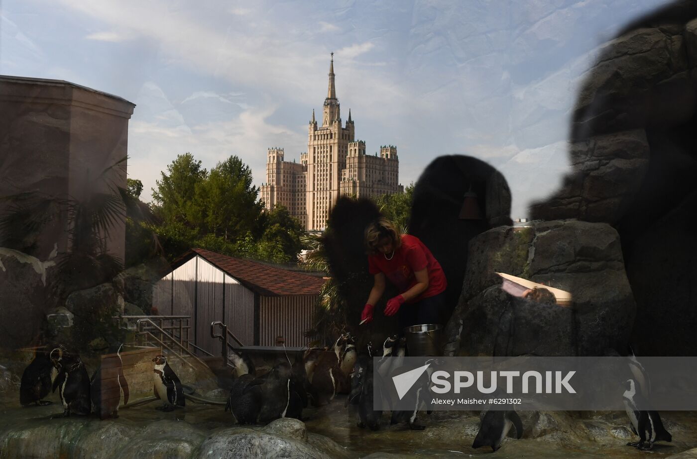 Russia Zoo