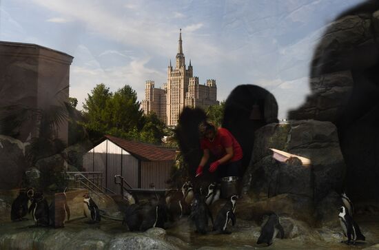 Russia Zoo