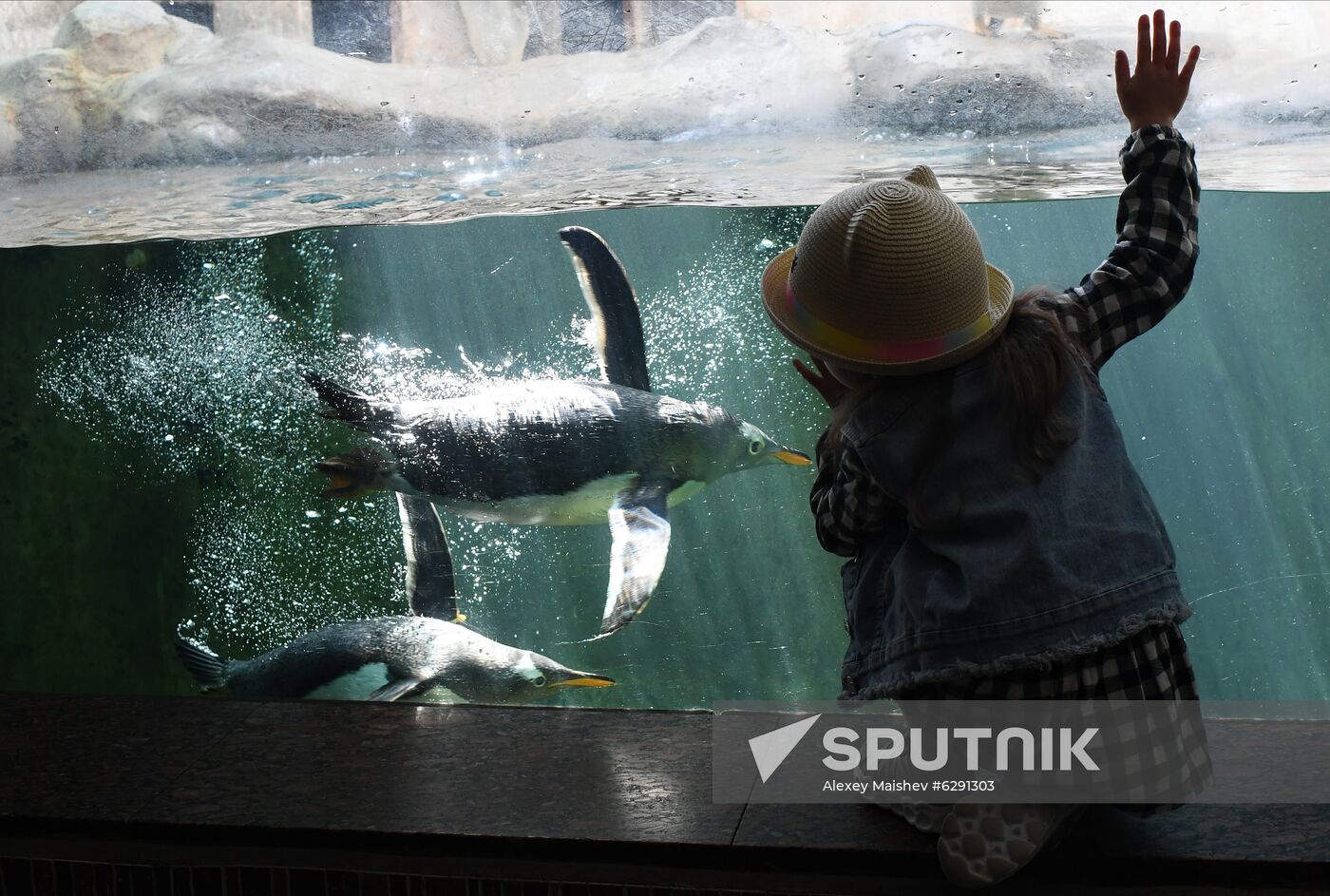 Russia Zoo