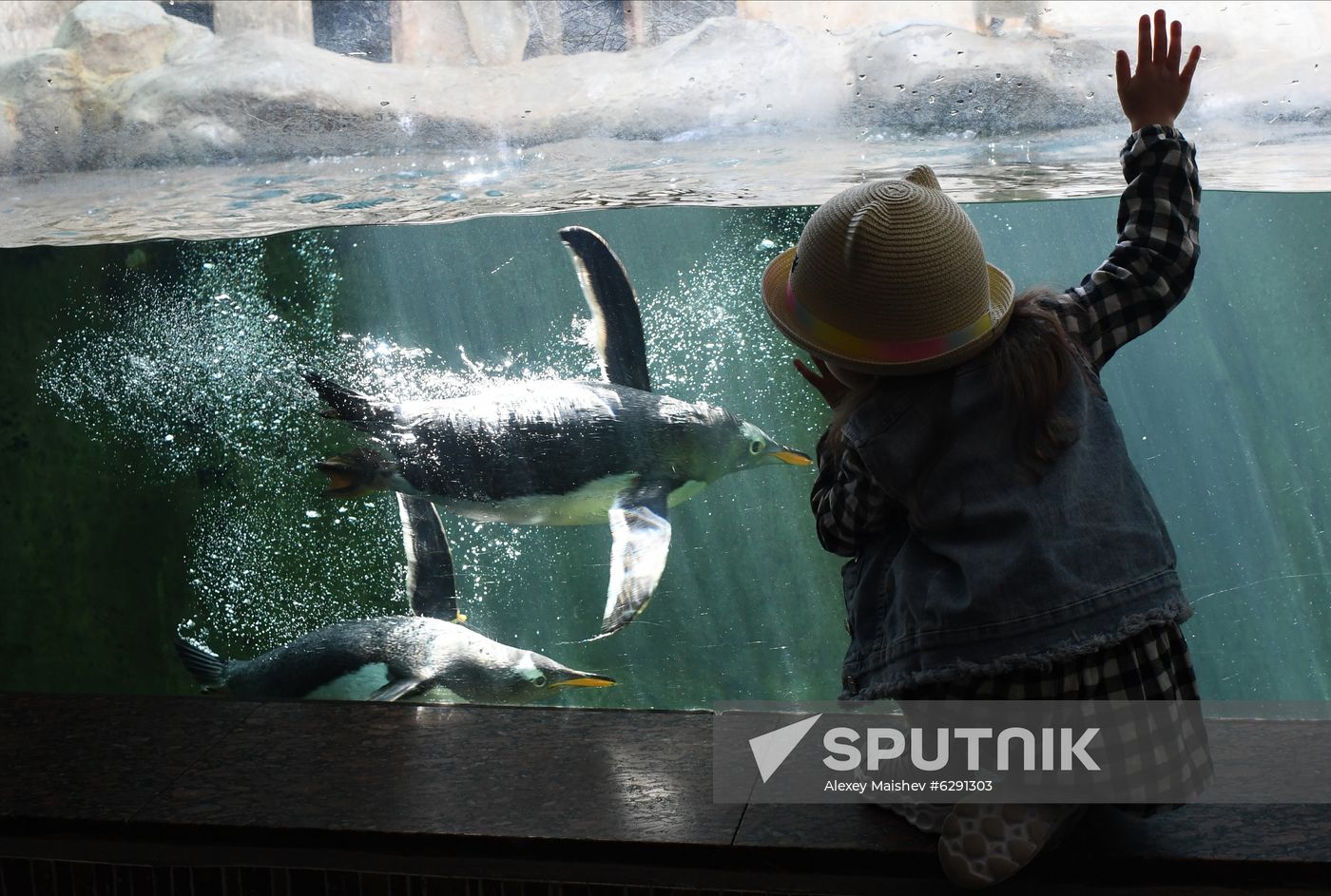 Russia Zoo