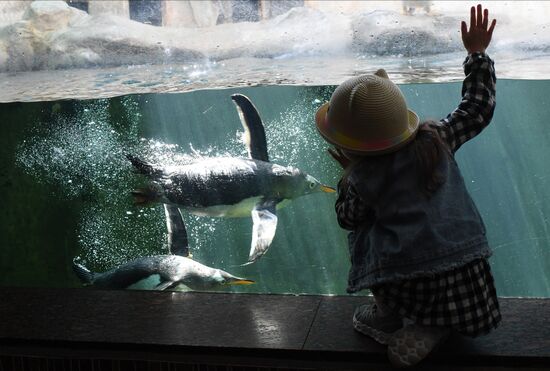 Russia Zoo
