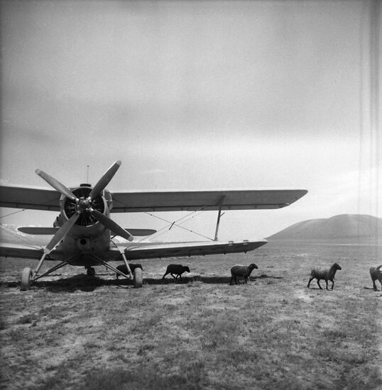 Uzbek mountain summer pasture