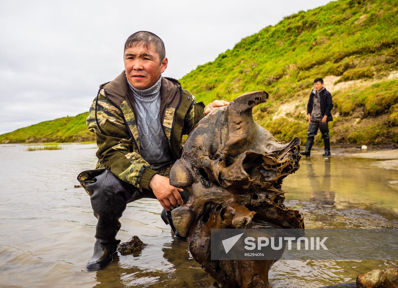 Russia Mammoth Skeleton