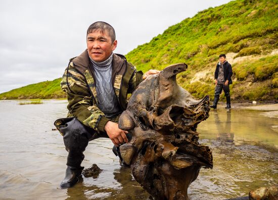 Russia Mammoth Skeleton