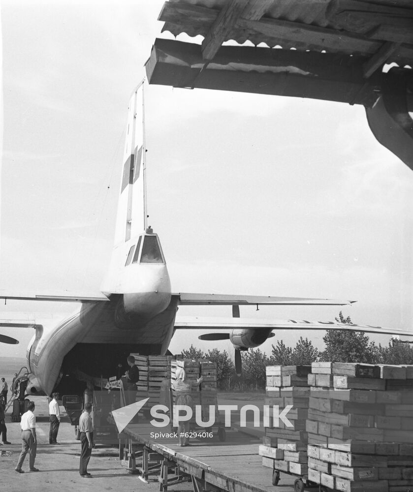 Loading fruit and vegetables on board Antonov An-12 at Chisinau Airport