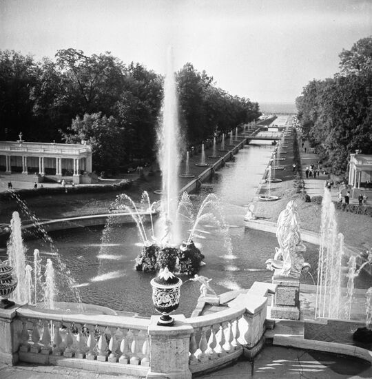 Peterhof State Museum and Reserve
