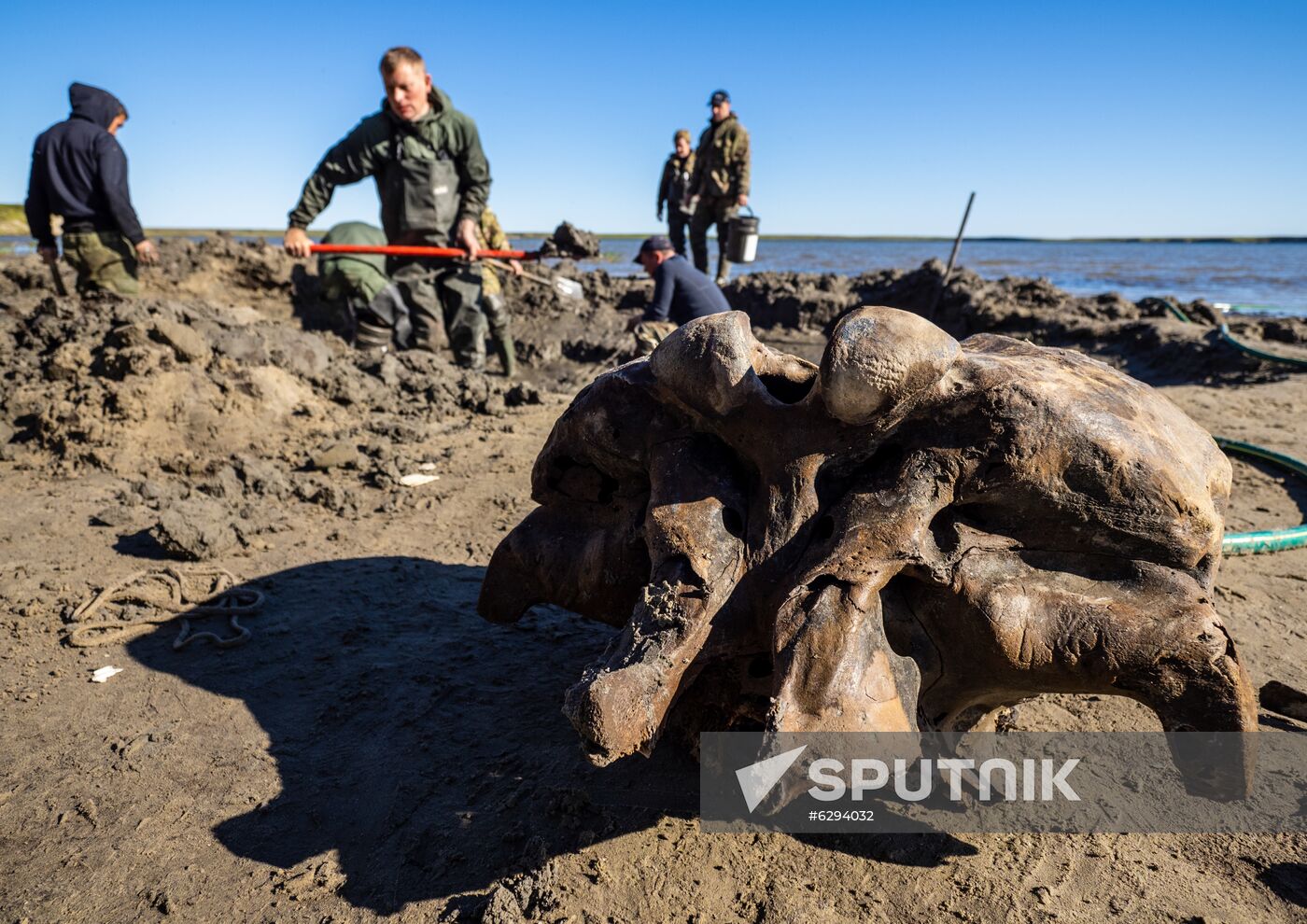 Russia Mammoth Skeleton
