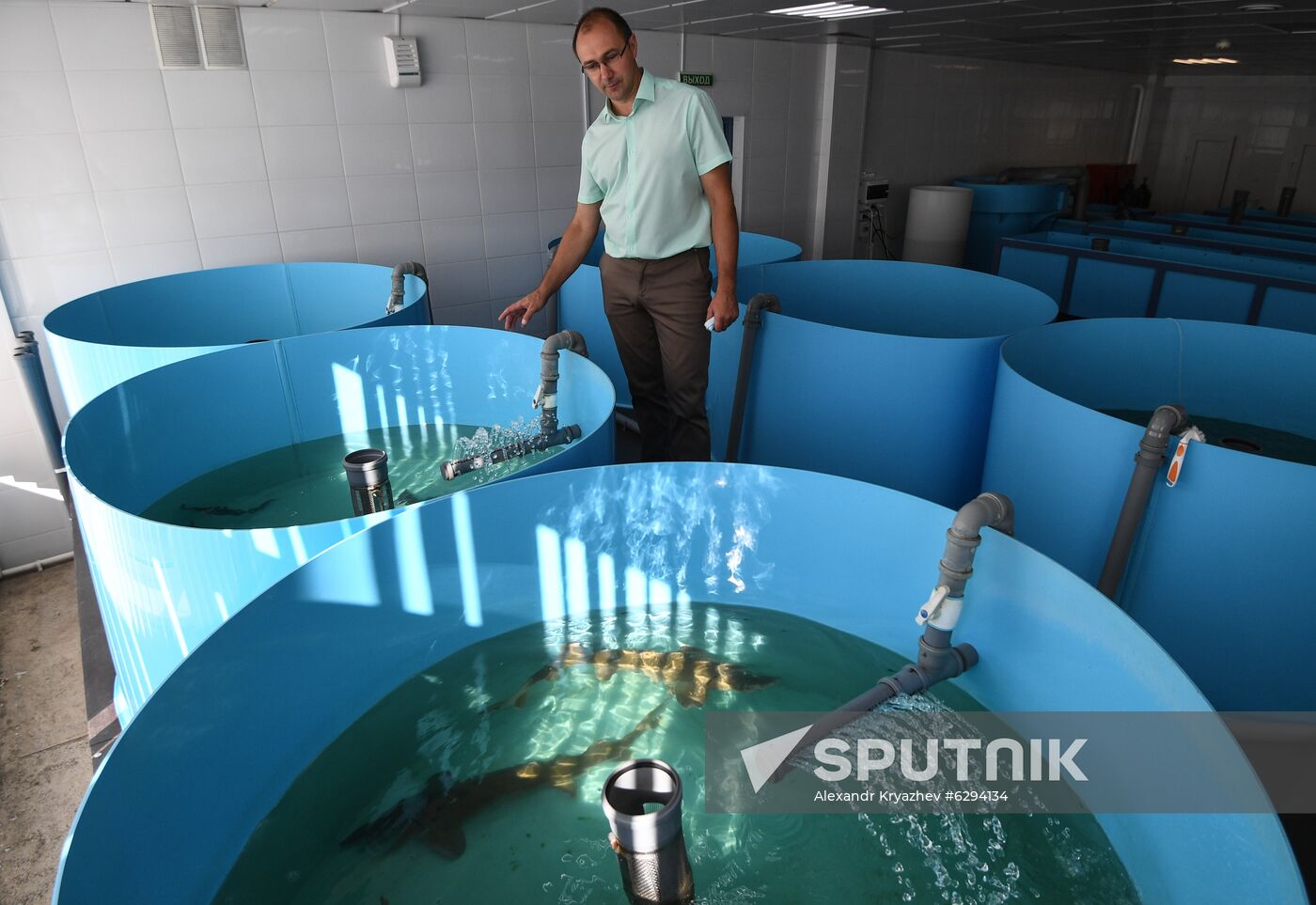 Russia Fish Farm