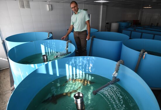 Russia Fish Farm