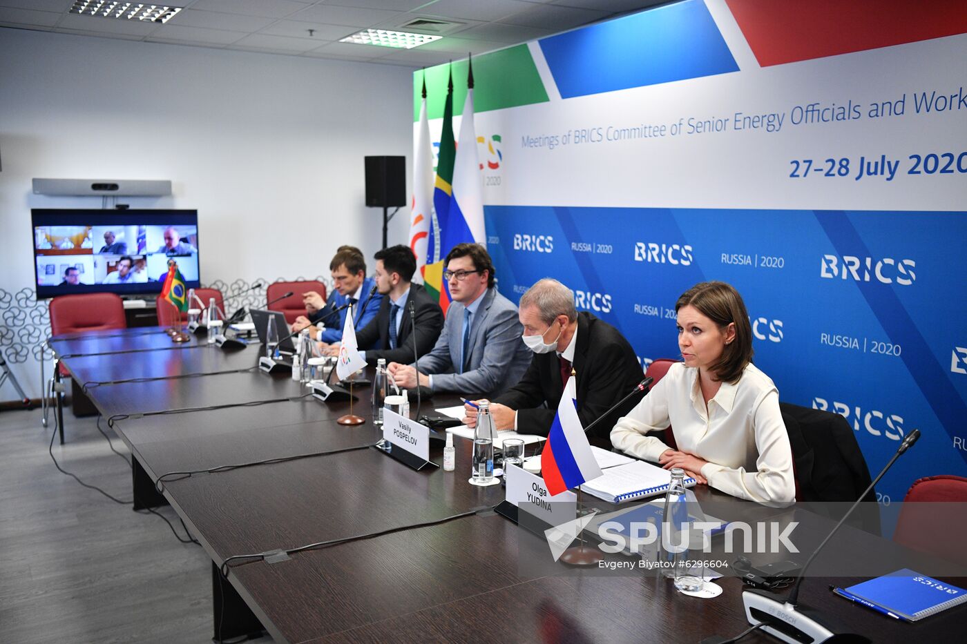 Meetings of BRICS Committee of Senior Energy Officials and Working Group on Energy Saving and Energy Efficiency