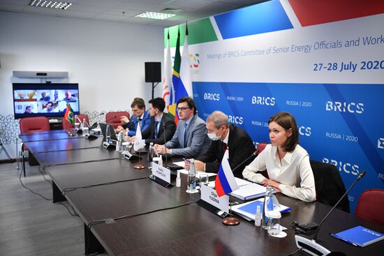 Meetings of BRICS Committee of Senior Energy Officials and Working Group on Energy Saving and Energy Efficiency