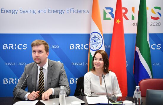 Meetings of BRICS Committee of Senior Energy Officials and Working Group on Energy Saving and Energy Efficiency