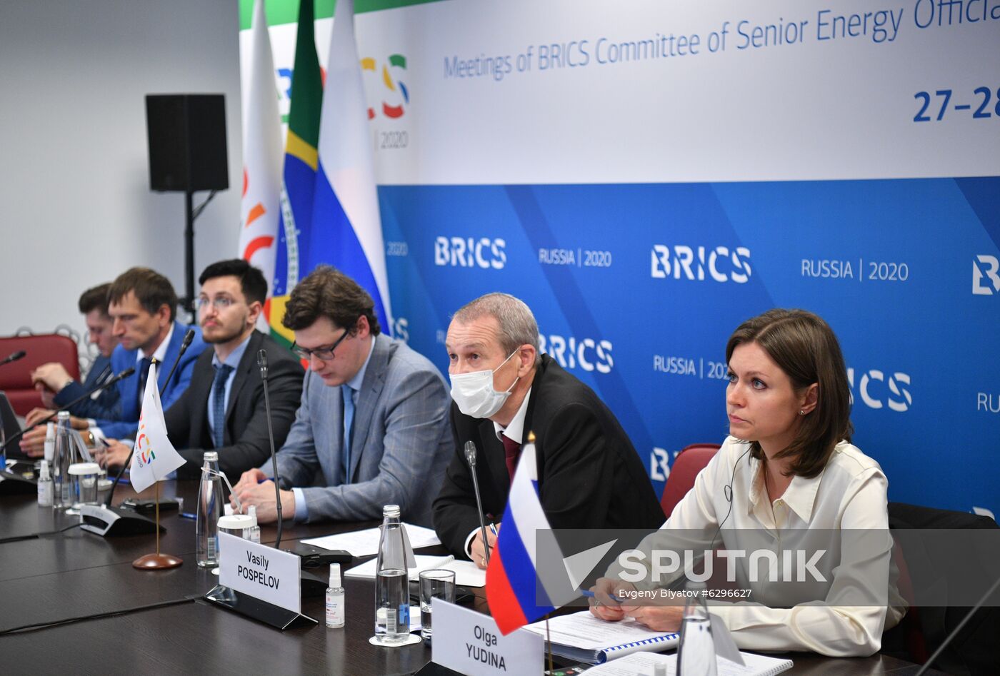 Meetings of BRICS Committee of Senior Energy Officials and Working Group on Energy Saving and Energy Efficiency