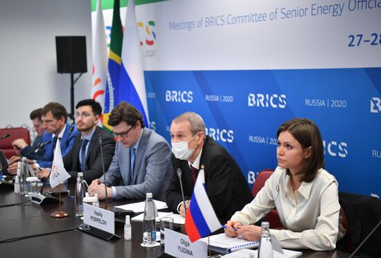 Meetings of BRICS Committee of Senior Energy Officials and Working Group on Energy Saving and Energy Efficiency