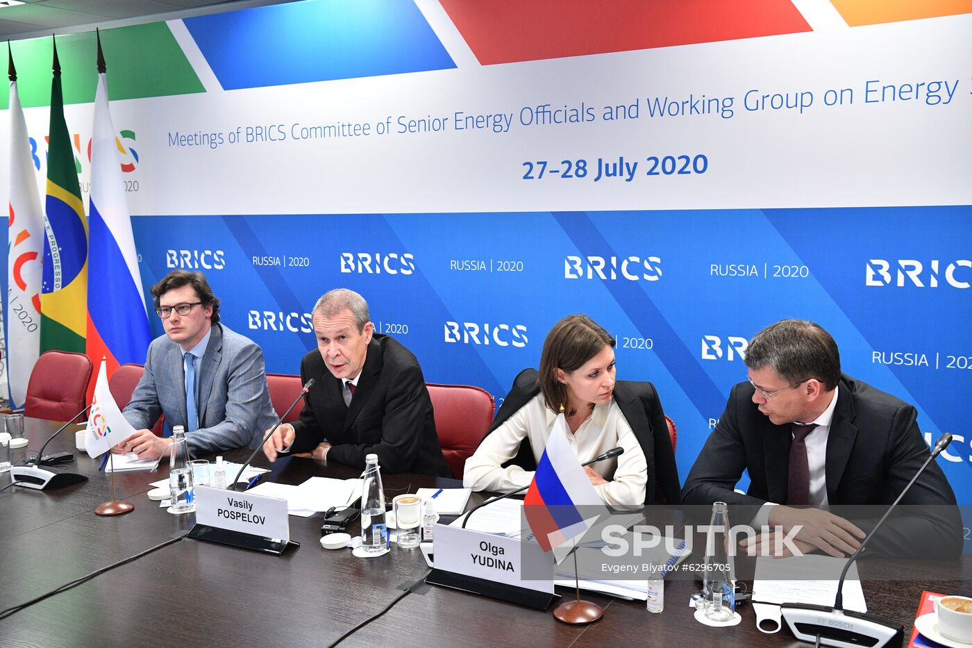 Meetings of BRICS Committee of Senior Energy Officials and Working Group on Energy Saving and Energy Efficiency