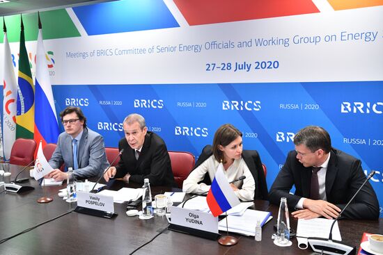 Meetings of BRICS Committee of Senior Energy Officials and Working Group on Energy Saving and Energy Efficiency