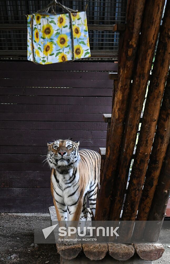 Russia Zoo
