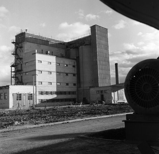 Novy Svet pig feeding factory
