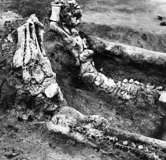Sungir ancient human settlement