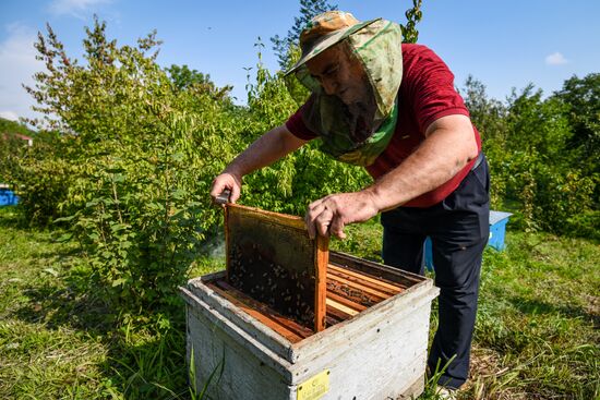 Azerbaijan Apiary
