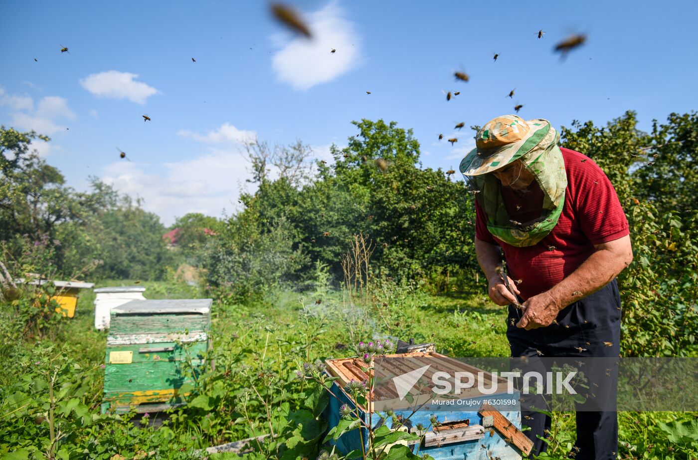 Azerbaijan Apiary