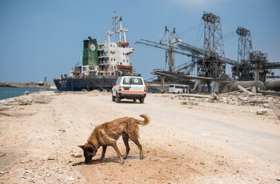 Lebanon Explosion Aftermath