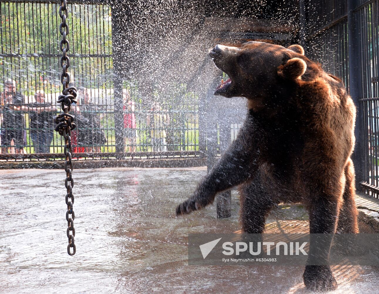 Russia Zoo