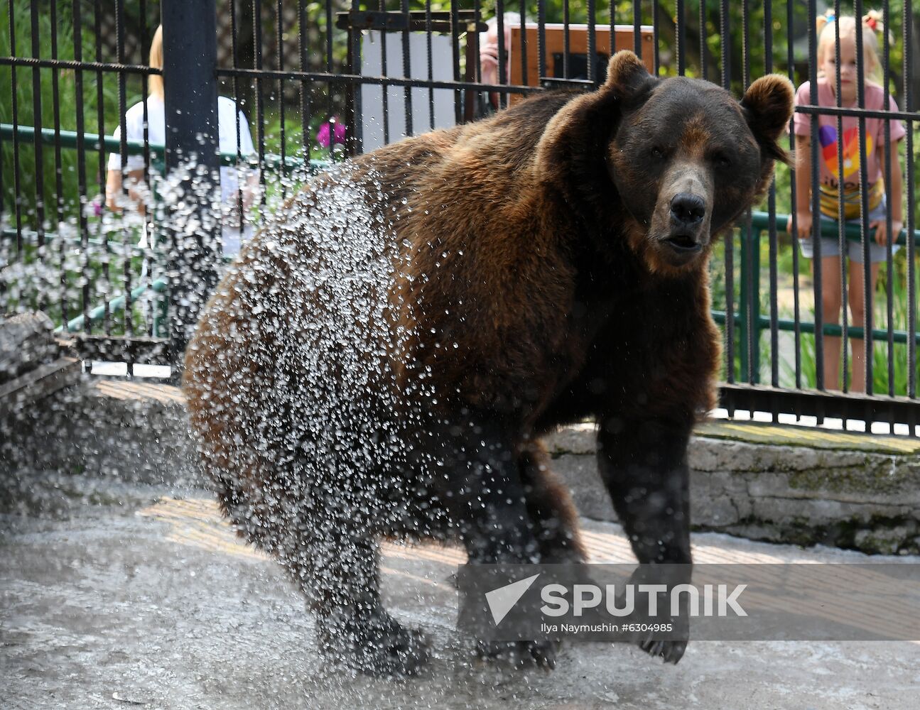 Russia Zoo