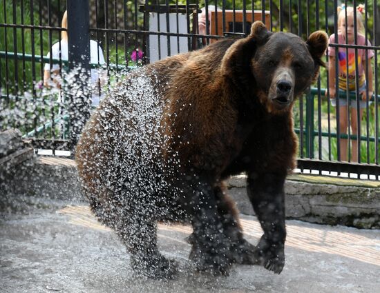 Russia Zoo