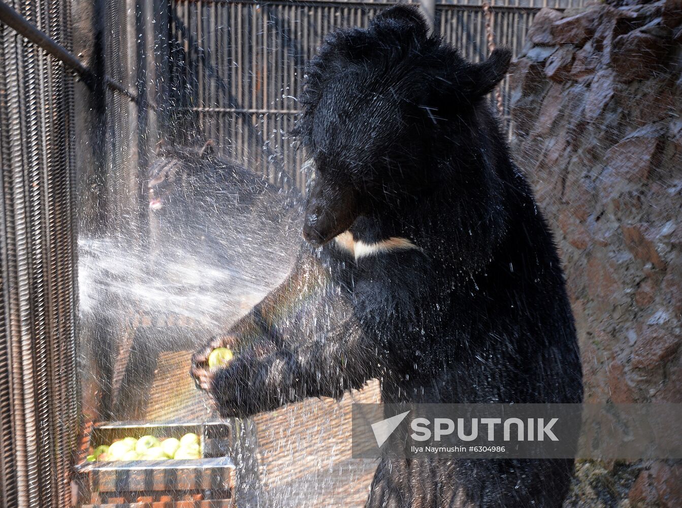 Russia Zoo