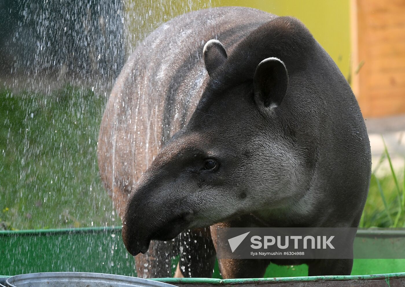 Russia Zoo
