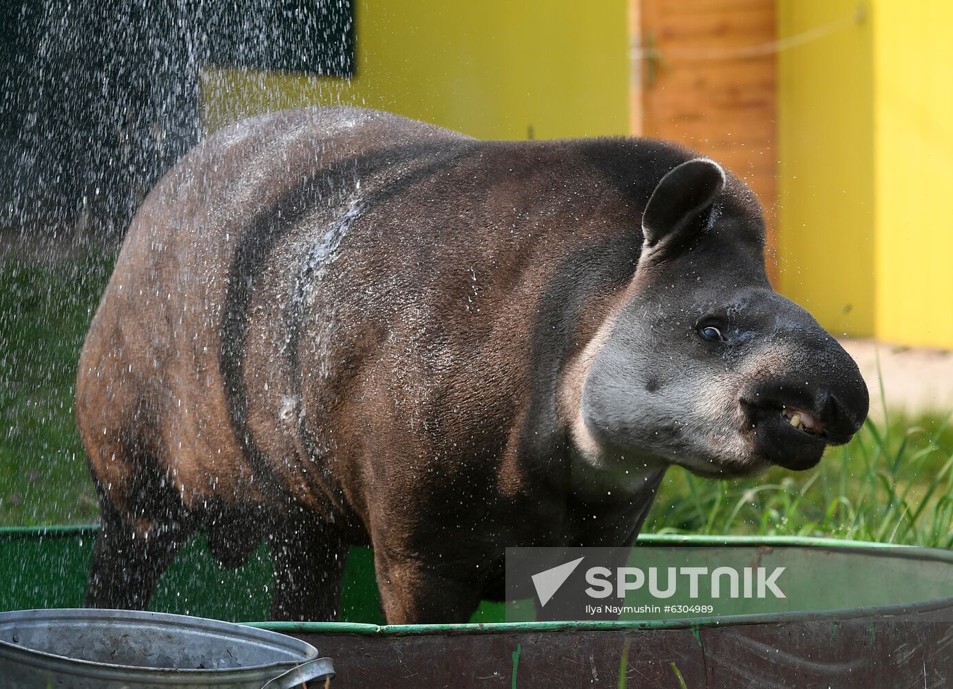 Russia Zoo