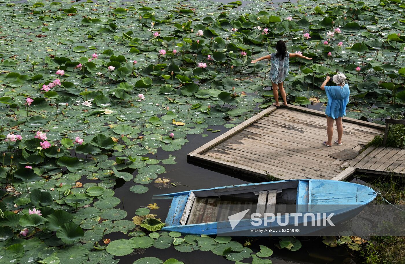 Russia Lotus Lake 