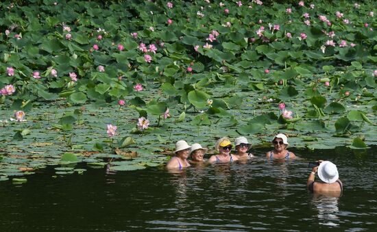 Russia Lotus Lake 