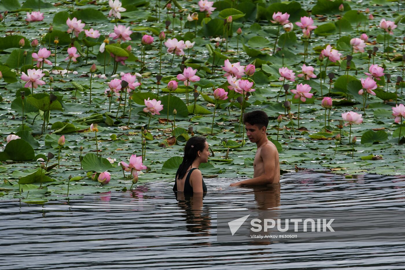 Russia Lotus Lake