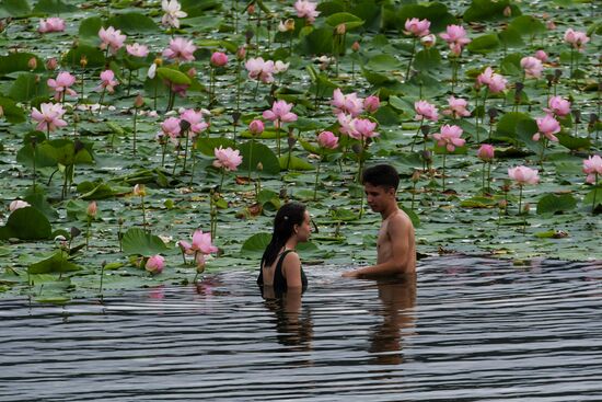 Russia Lotus Lake 