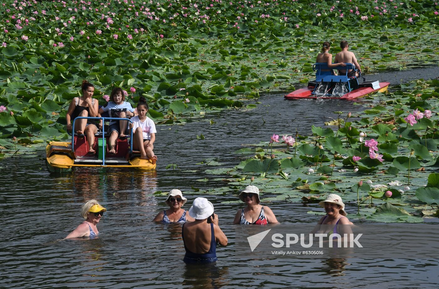 Russia Lotus Lake