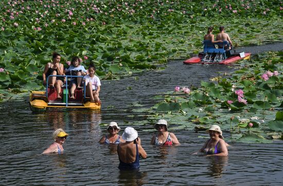 Russia Lotus Lake 