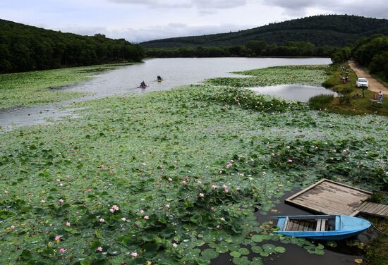 Russia Lotus Lake 