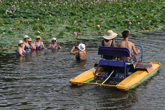 Russia Lotus Lake 