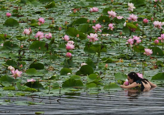 Russia Lotus Lake 